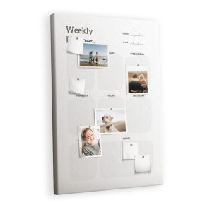 Tablica korkowa do szkoły nadruk rośliny + pinezki 474314