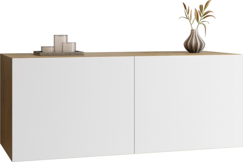 Wisząca szafka pod tv 100 cm do salonu LORI 972288