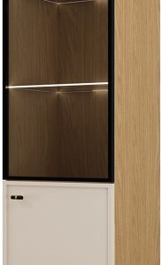 Witryna do salonu 50 cm przeszklona z szafką EVORIA 1079656 Witryna do salonu 50 cm przeszklona z szafką EVORIA 1079656
