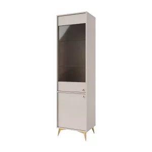 Witryna szklana do salonu Sakai 1 2F T101 Beżowy 716001
