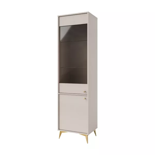 Witryna szklana do salonu Sakai 1 2F T101 Beżowy 716001