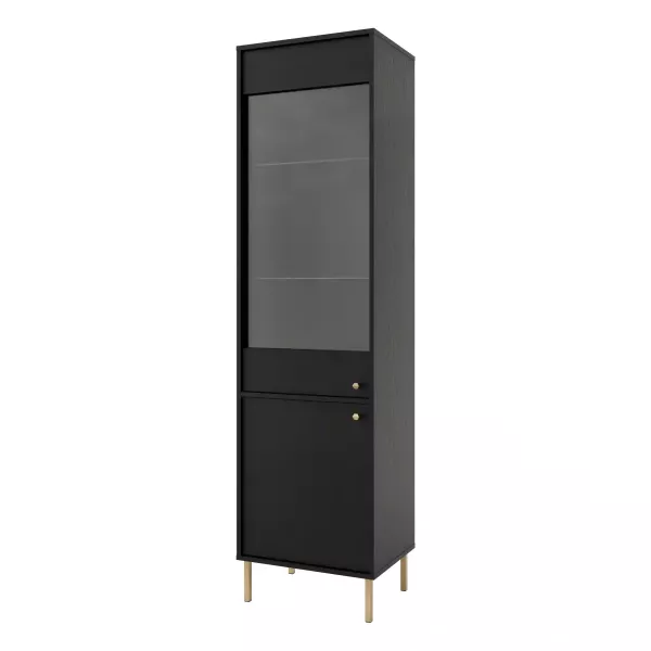 Witryna szklana do salonu Sakai 2 2F T101 Czarny 715993