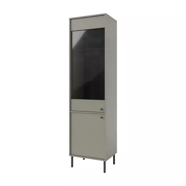 Witryna szklana do salonu Sakai 2 2F T101 Eukaliptus 715998