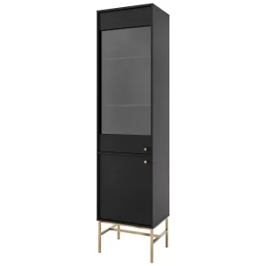 Witryna szklana do salonu Sakai 3 2F T101 Czarny 715997 Witryna szklana do salonu Sakai 3 2F T101 Czarny 715997
