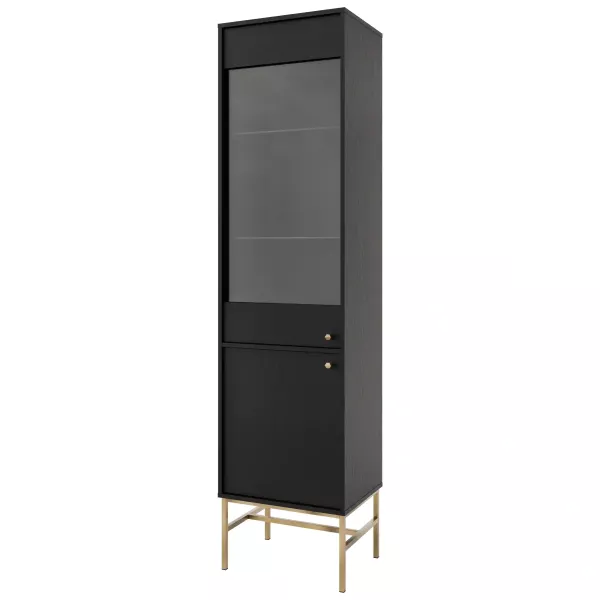 Witryna szklana do salonu Sakai 3 2F T101 Czarny 715997