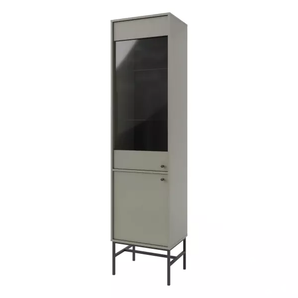 Witryna szklana do salonu Sakai 3 2F T101 Eukaliptus 715999