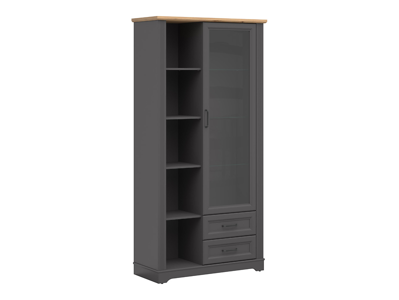 Witryna Tolmin 100 cm z drzwiami i 2 szufladami grafit/dąb artisan 730126